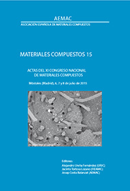 Actas Matcomp15 01 C.indd Imagen matcomp11